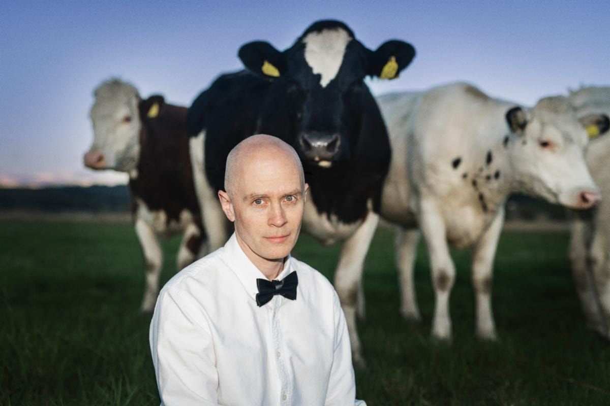 Jens Lekman on the 2010s, Drain Gang, and Reluctantly Revisiting the Past