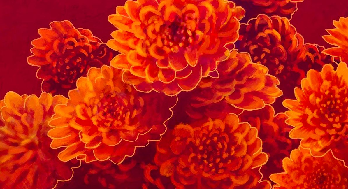 Baker's Dozen: Little Simz, Silverbacks, and a Good Mike Jones Joke