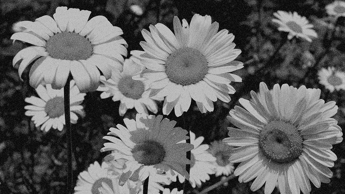 Baker's Dozen: Raveena, Guided by Voices, and Instant Nostalgia Hits