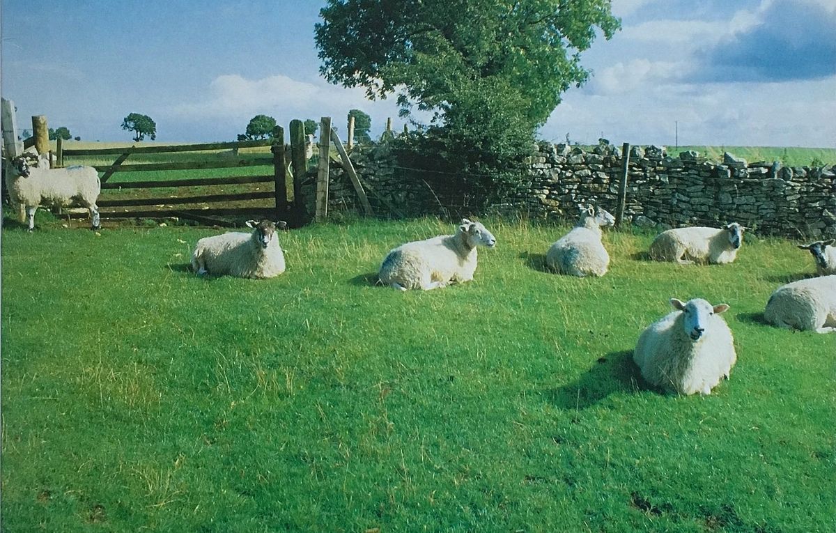 Gotye on the Enduring Brilliance of the KLF