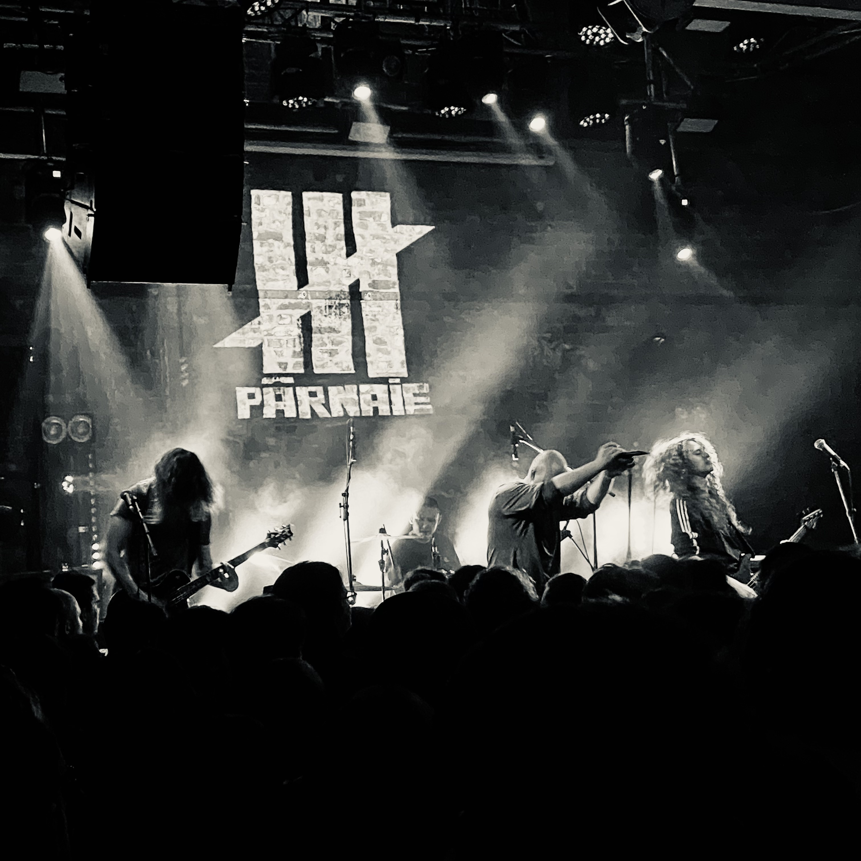 Photo of the band Pârnaie on stage.
