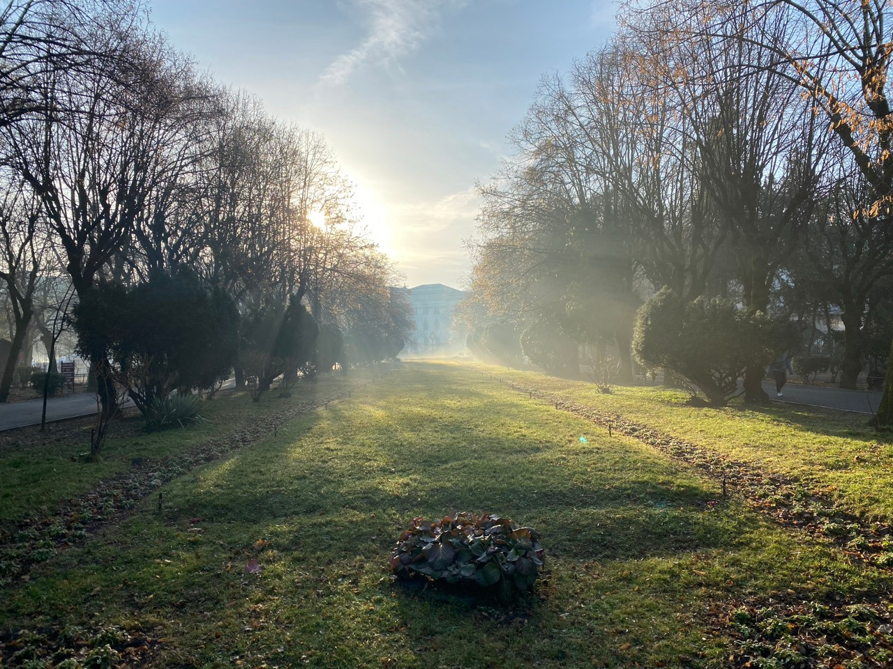 An image of grass and trees in a Bucharest park, with sunlight coming in through the fog of a chilly winter morning.