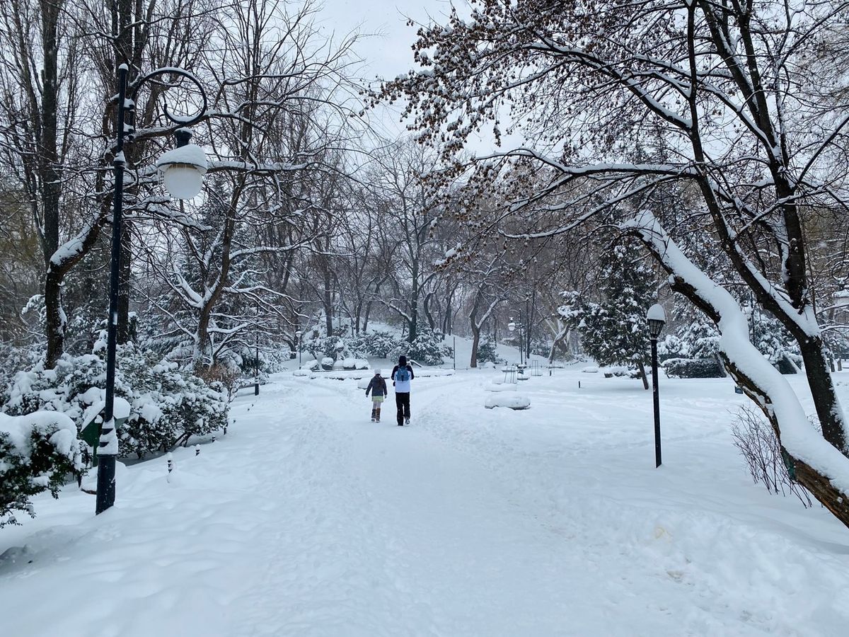 Draft Four: When can we do life again?