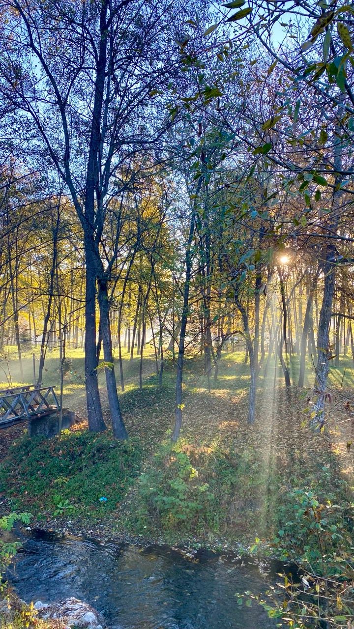 Draft Four: The first next step