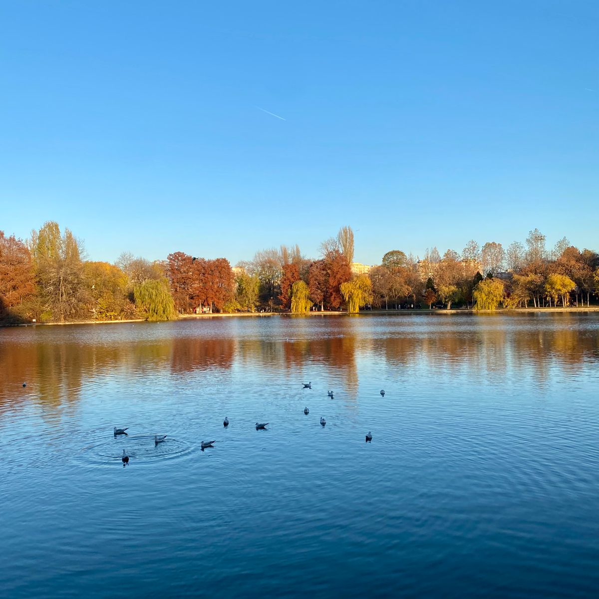 Draft Four: Collaboration and camaraderie