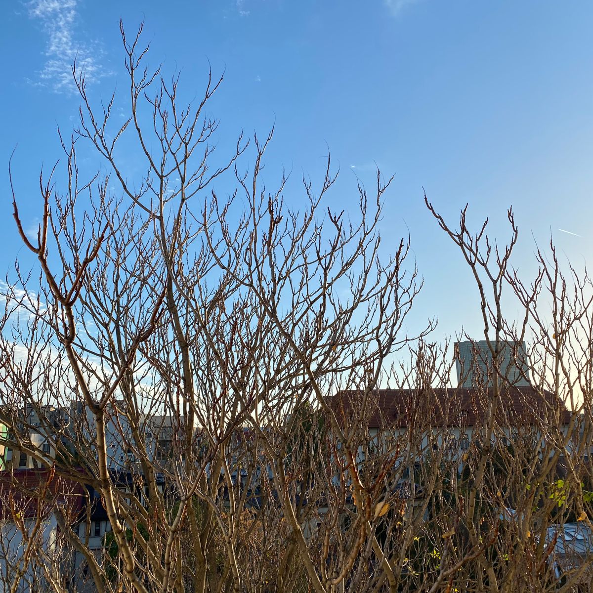 Draft Four: You were once the future