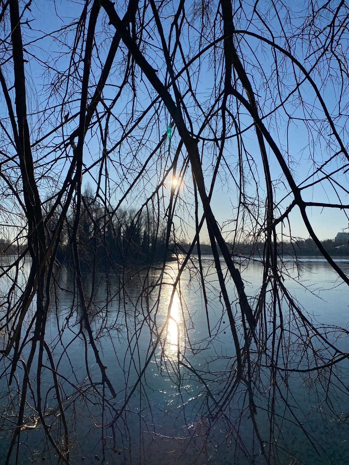 Draft Four: What We Can Know