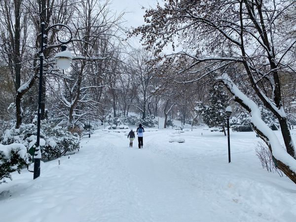 Draft Four: When can we do life again?