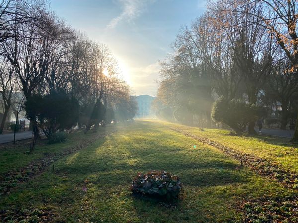 Draft Four: My word of intention for 2025