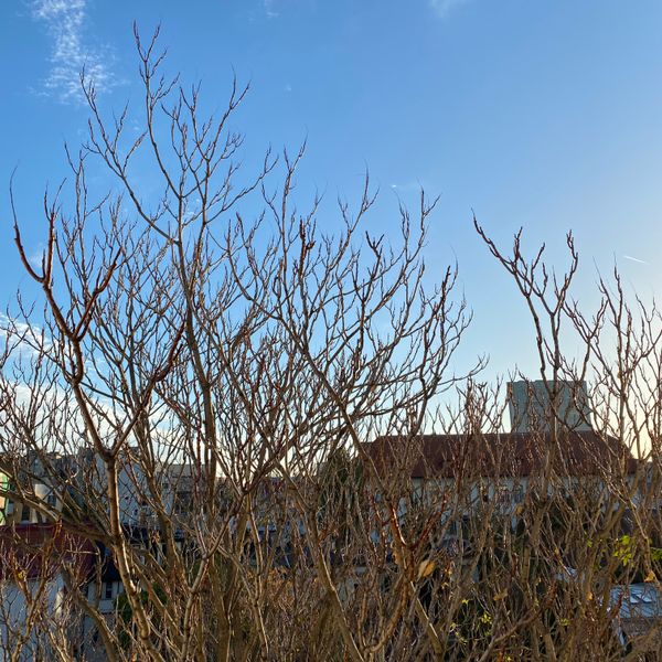 Draft Four: You were once the future