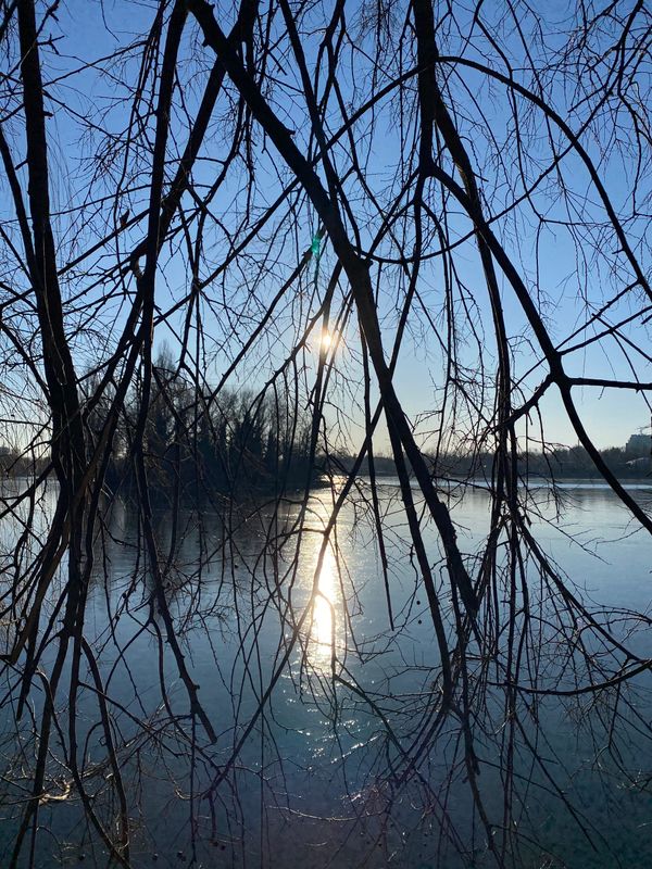 Draft Four: What We Can Know