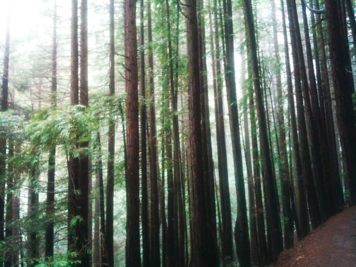 Breathe