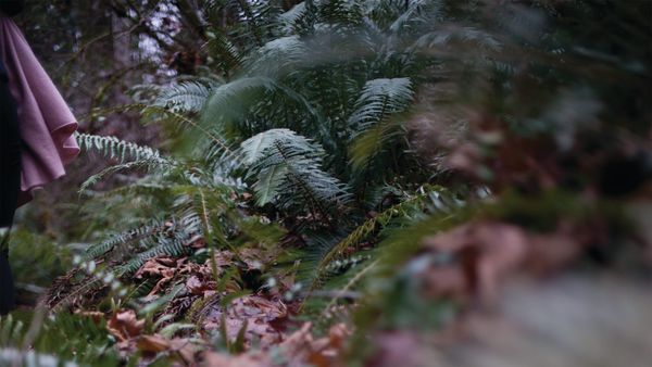 Mother Woods