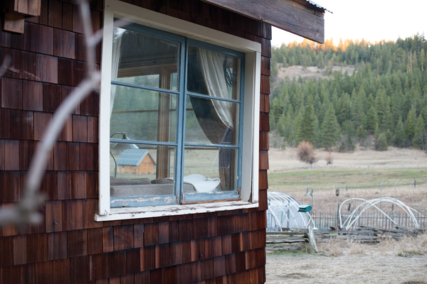 Willow-Witt Ranch: Imperfect World