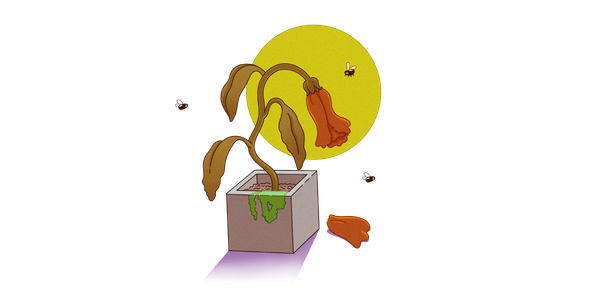 5 errores que cometen los inversores principiantes