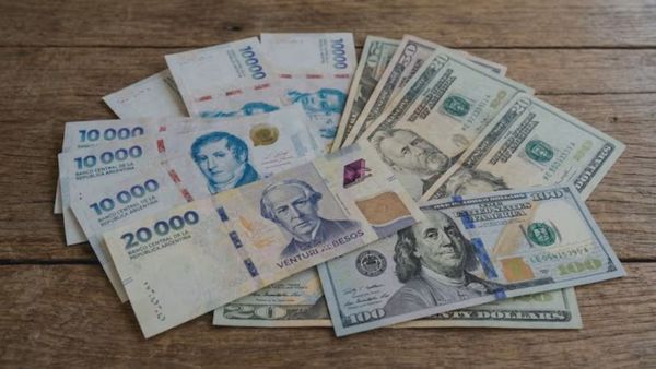 ¿Dólares o pesos? Cómo saber en qué moneda invertir