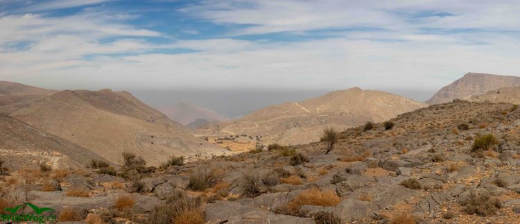 Winter 2025 - Teil 8 - Musandam und VAE