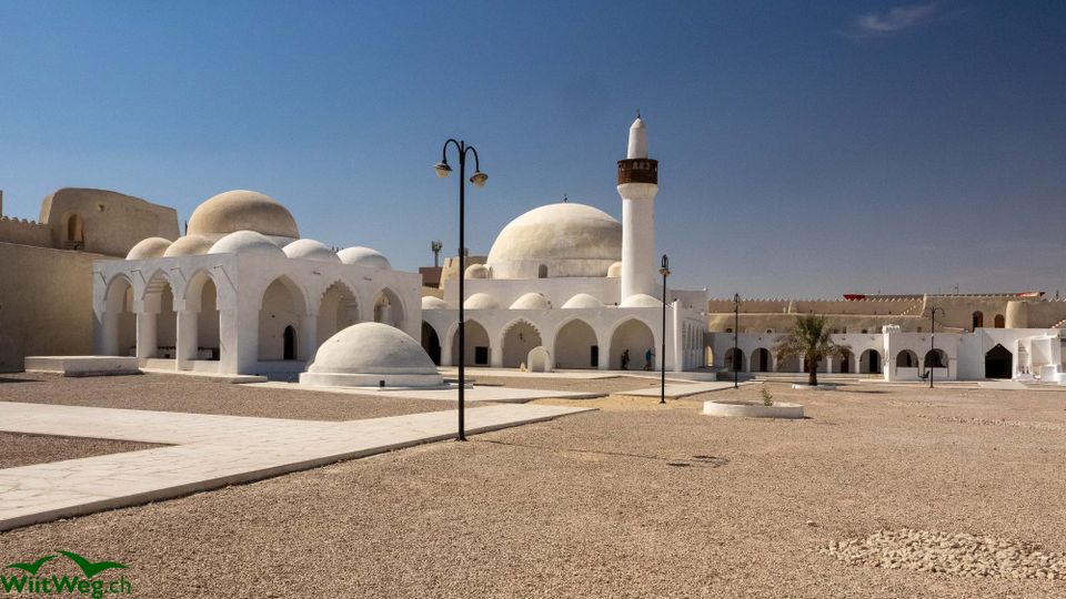 Winter 2025 - Teil 6 - Saudiarabien