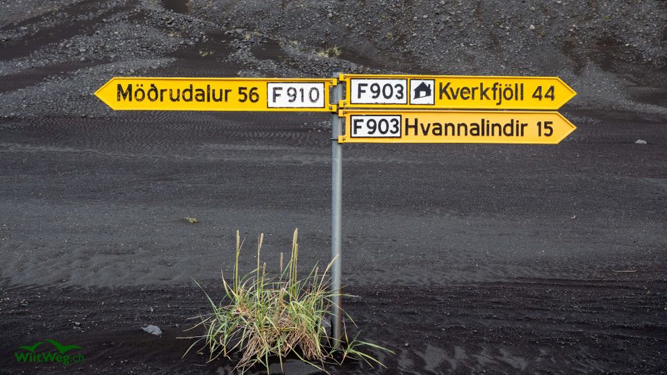 Island, wir kommen