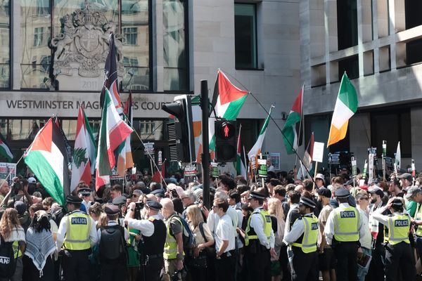 A huge crowd flying Palestinian and Irish flags outside Westminster Magistrates Court.