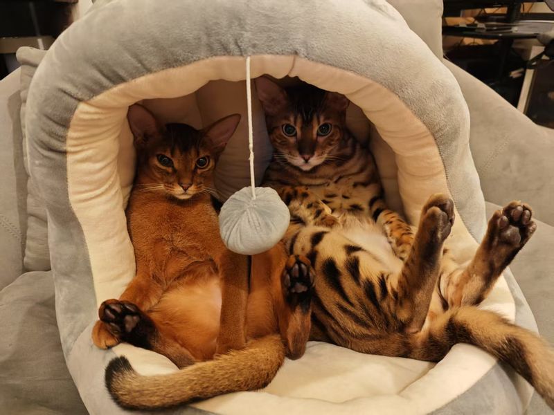 Welcome! Come meet Jason and JARVIS post image