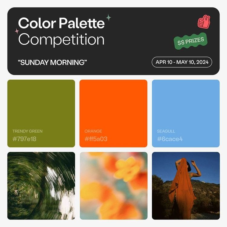 2024 color palette competition official rules