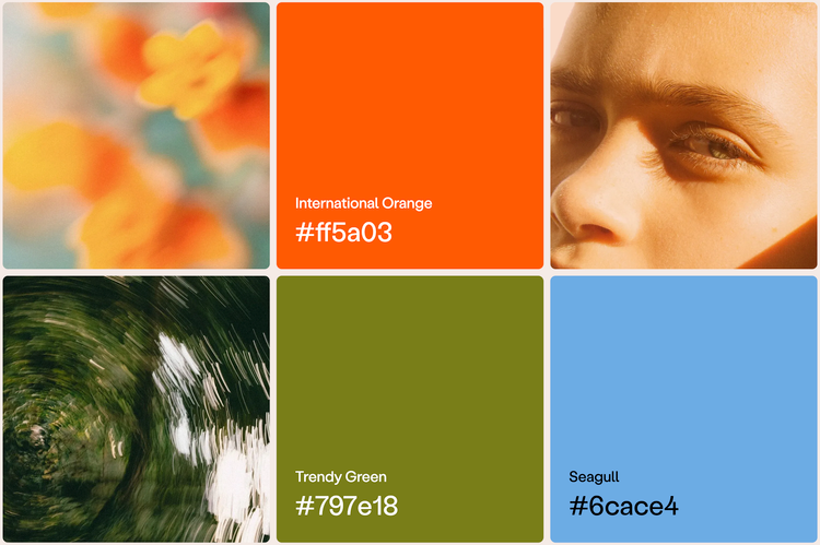 Color palette competition 2024