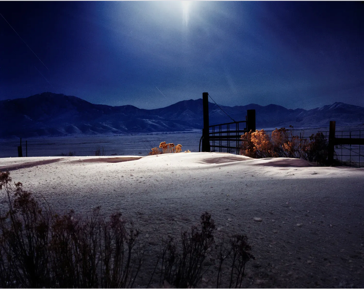 Jarrett Murphy - 2025 Playbook Photo Competition Winner Spotlight