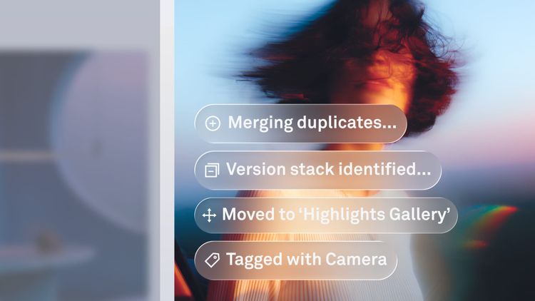 Playbook vs Tagbox: Best AI DAM for Creative Teams (2026)