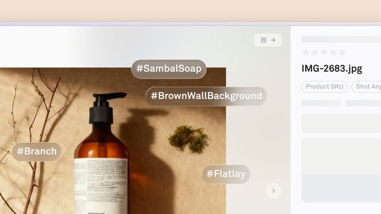 Best Brand Asset Management Software for 2026