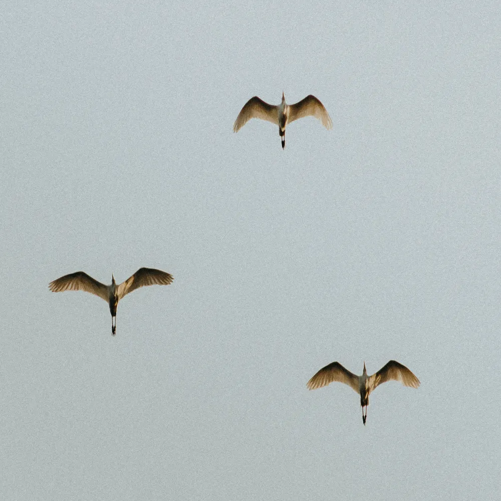 one-minute-wind-down