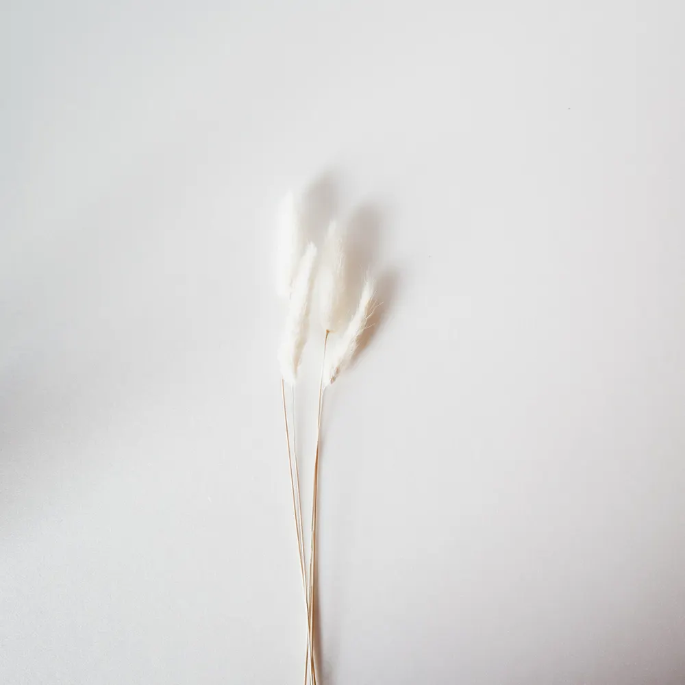 five-minute-mindful-reset