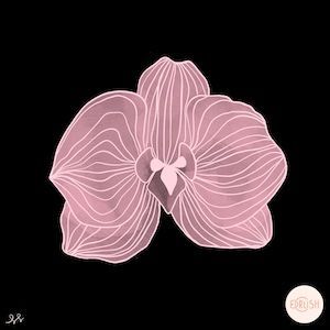 Oasis in the Desert. One woman’s honest journey through vaginal rejuvenation. By Lynn Matthews