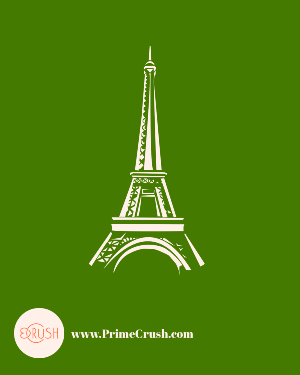 Selected Paris Notes by Dish Stanley