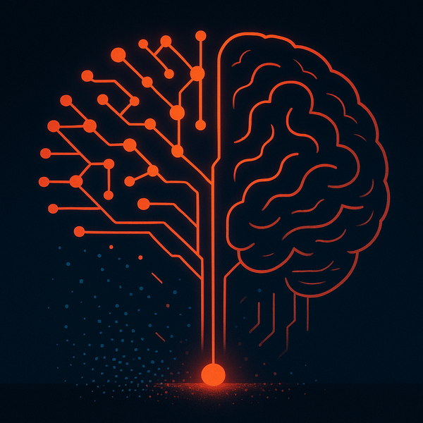 Neural networks that grow themselves from noise