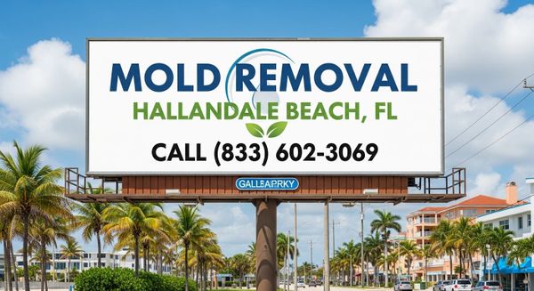 Mold Removal Hallandale Beach, FL |Call (833) 602-3069