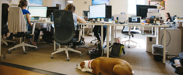 gather-office