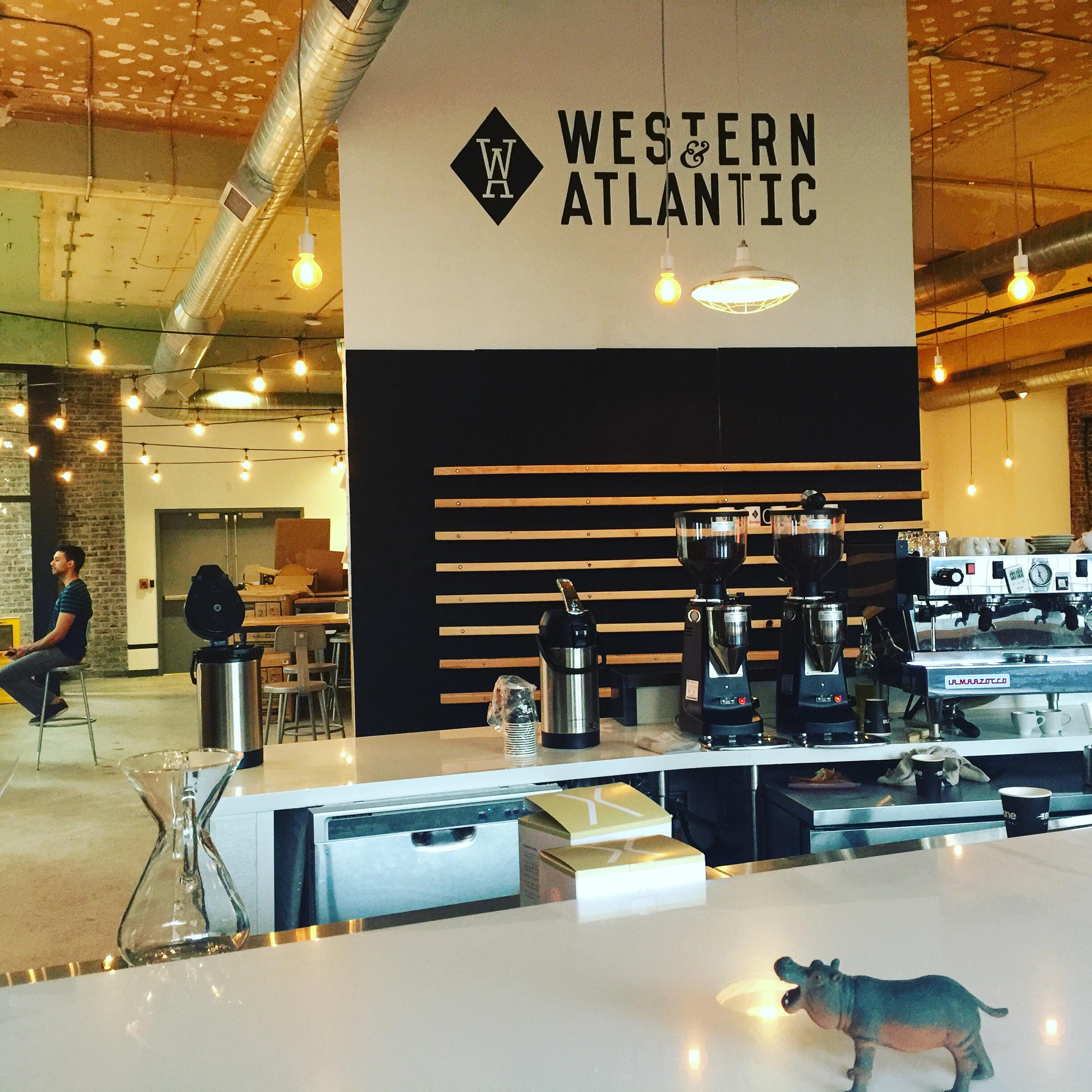 hippo-at-switchyards