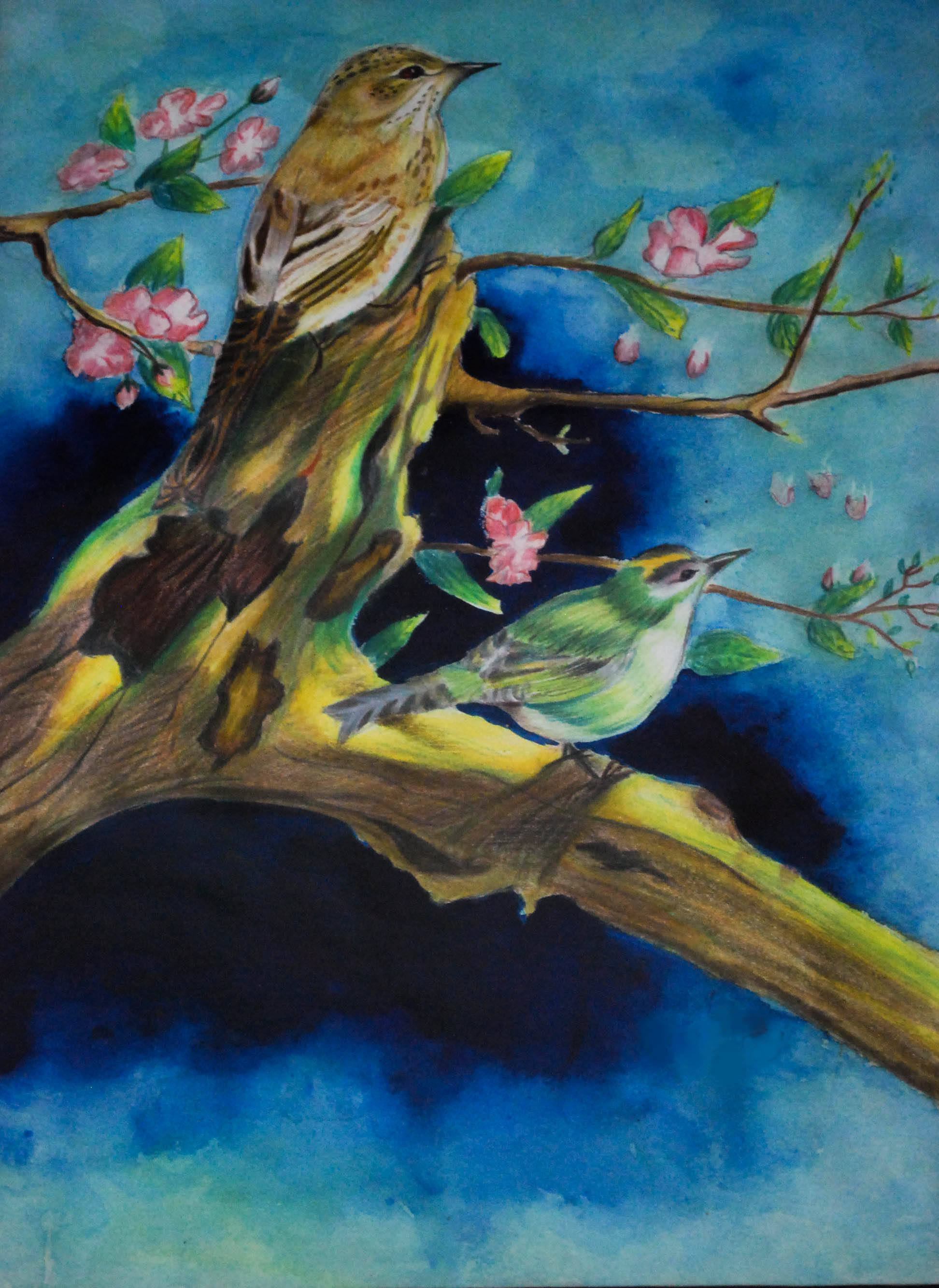 Nammy painting of birds