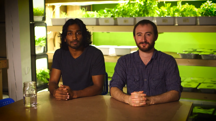 replantable-founders