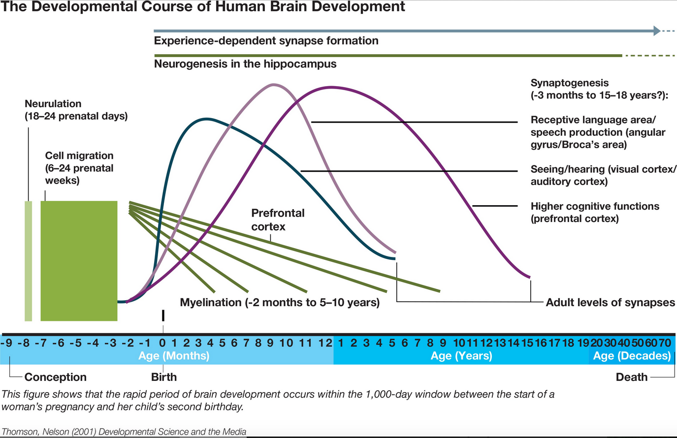screen-shot-2016-07-06-at-3-57-05-pm