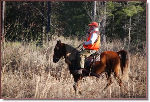 Ten tweets from a (multiple) Startup Success!