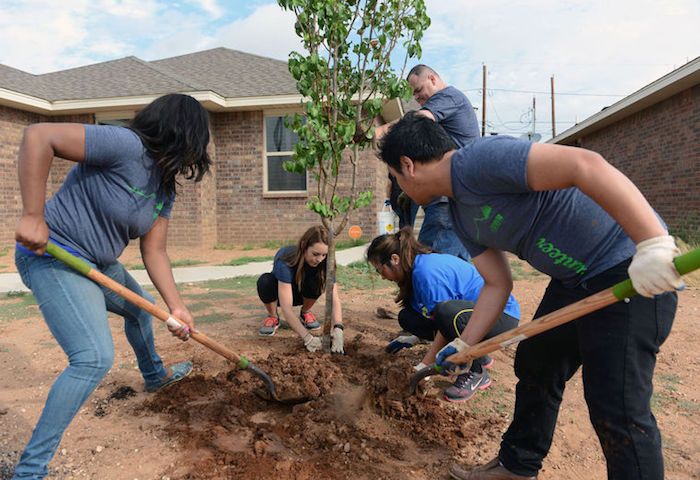 When You Burn a Gallon, GreenPrint Plants a Tree