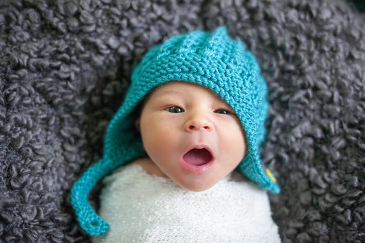 Andrew Greenberg: The Man With Many Hats