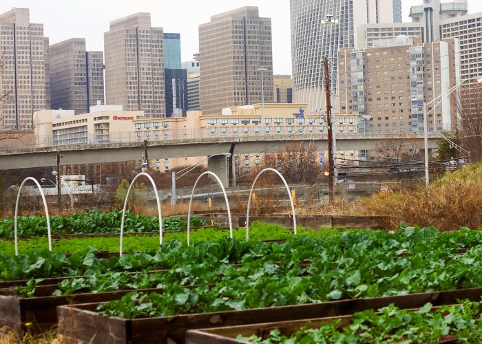 Clark Atlanta University Secures Grant To Lead Food Tech Innovation