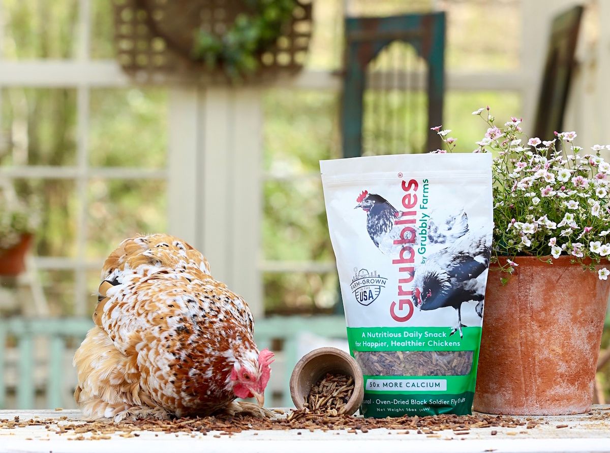 Atlanta-Based Grubbly Farms Raises Almost $3 Million From Overline VC To Help You Feed Your New Backyard Chickens