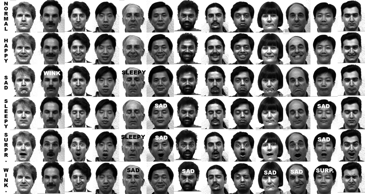 Student Talent | Developed Algorithm to Recognize Facial Expression
