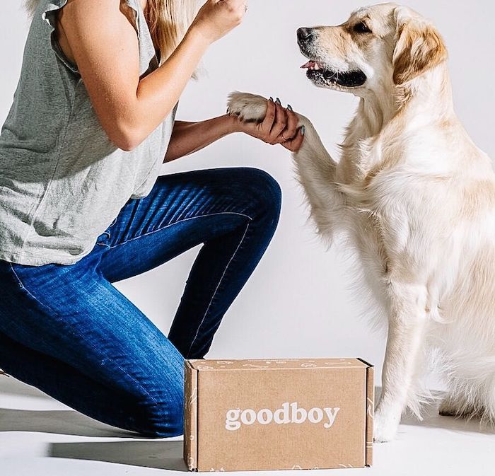 Direct-to-Canine Supplement Company Launches to Help Your Good Boy (Or Girl) Live Forever