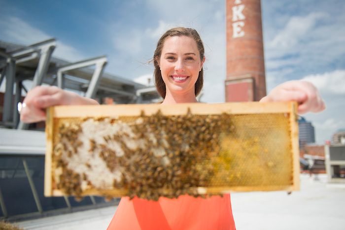 Atlanta’s Biggest Companies Are Installing Honeybee Hives to Cover the City, Thanks to This Beekeeping Startup