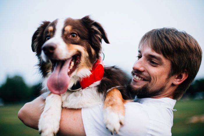 Make Lost Dog Worries A Thing of the Past With This GPS-Enabled Canine Fitbit